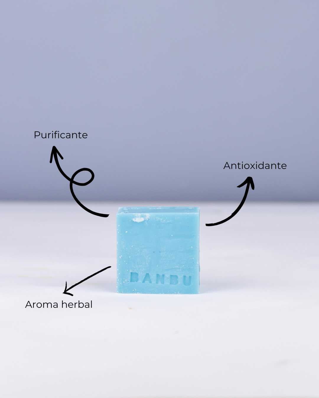 Jabón de Ducha Sólido ECO Silvestre NOSTALGIA - Skinova