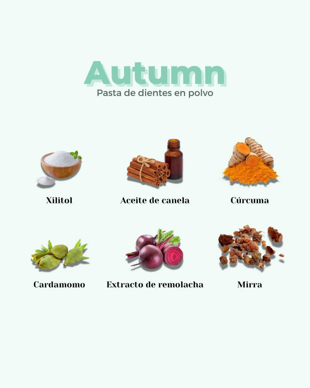 LIQUIDACIÓN: Refill Pasta de Dientes en Polvo ECO AUTUMN - Skinova