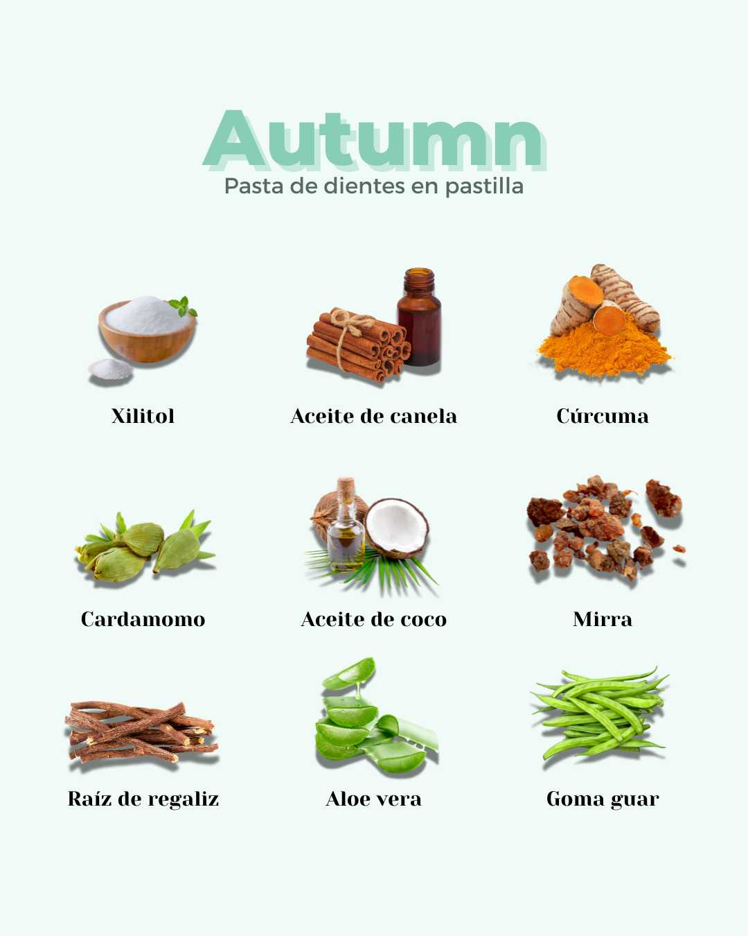 Refill Pasta de Dientes en Pastilla ECO AUTUMN - Skinova